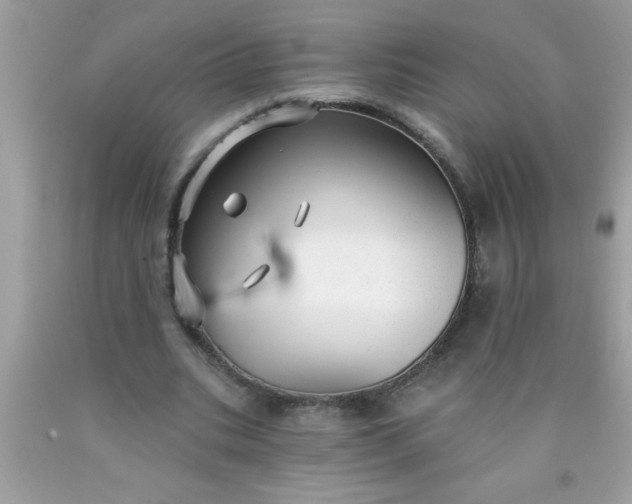 X0000090460535200707272239