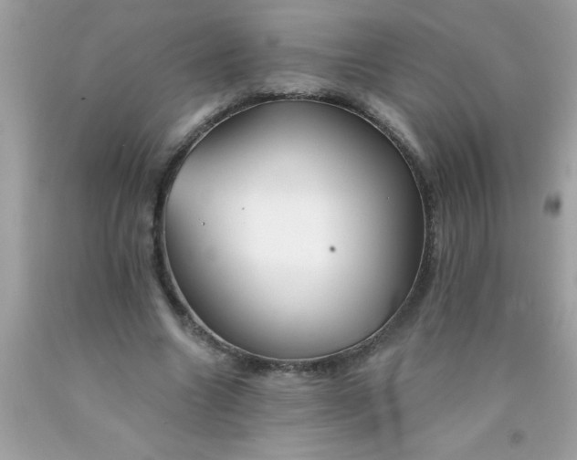X0000090460538200707272239