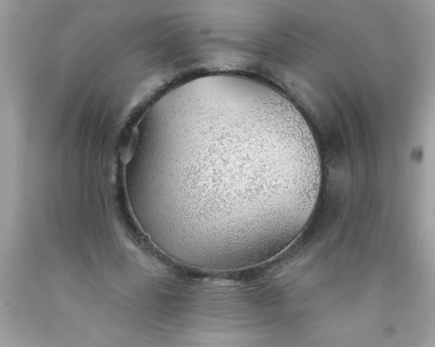 X0000090460539200707272239