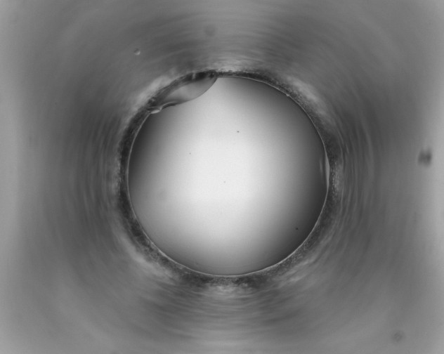 X0000090460540200707272239