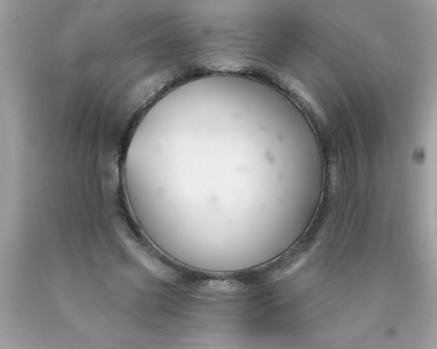X0000090460541200707272239