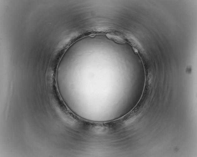 X0000090460542200707272239