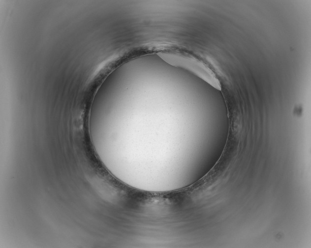 X0000090460543200707272239