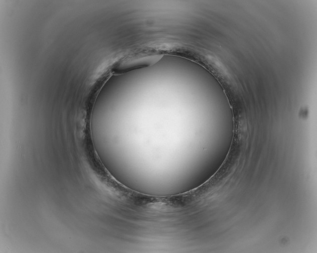 X0000090460544200707272239
