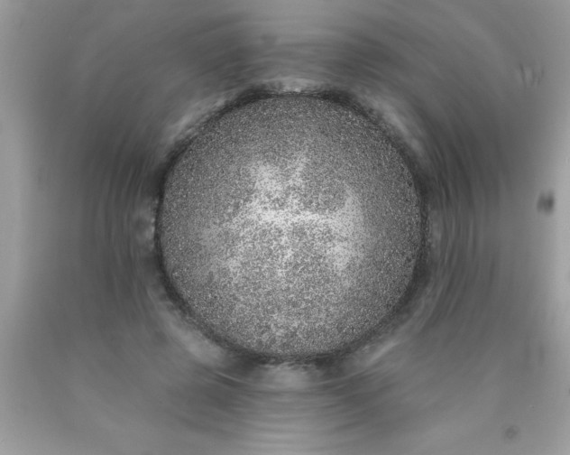 X0000090460545200707272239