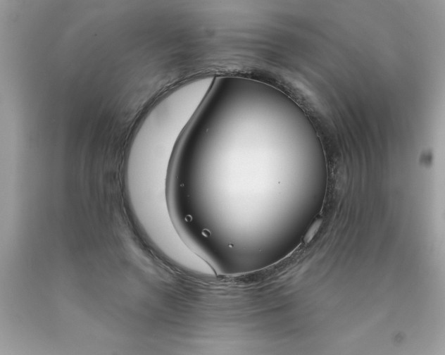 X0000090460546200707272239