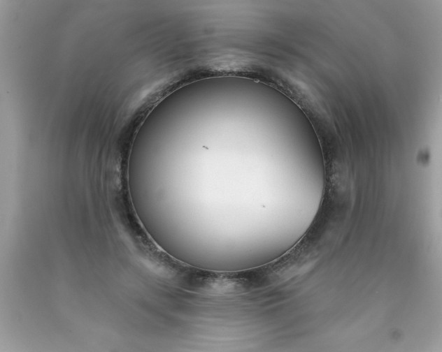 X0000090460547200707272239
