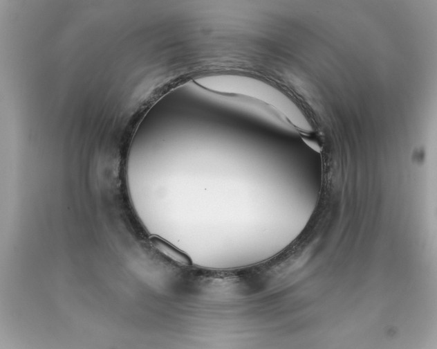 X0000090460548200707272239