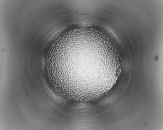 X0000090460549200707272239