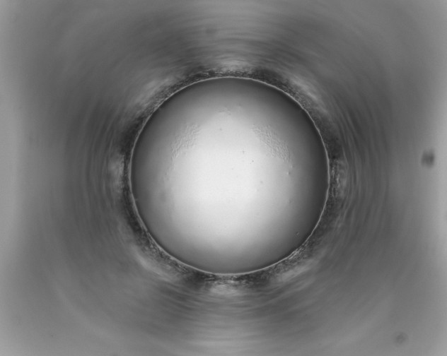 X0000090460550200707272239