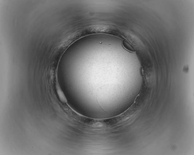X0000090460551200707272239