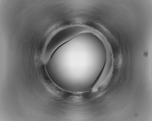 X0000090460552200707272239