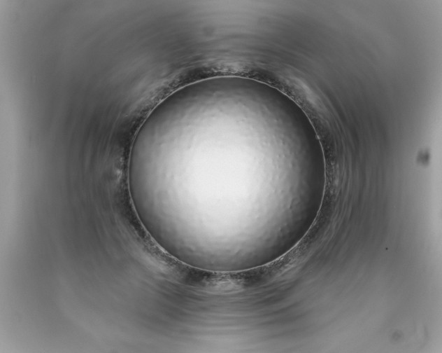 X0000090460553200707272239
