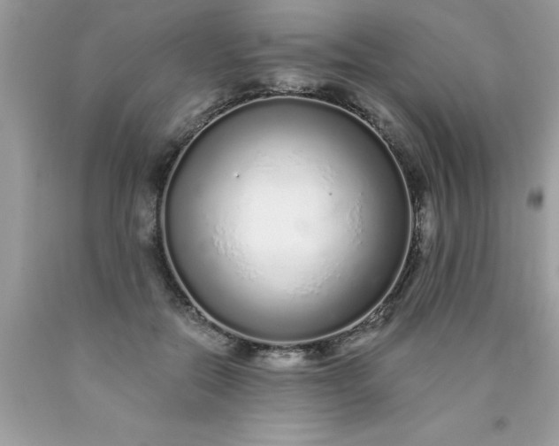 X0000090460554200707272239