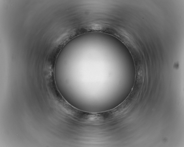 X0000090460555200707272239