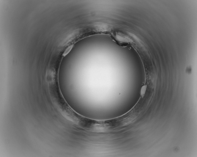 X0000090460556200707272239