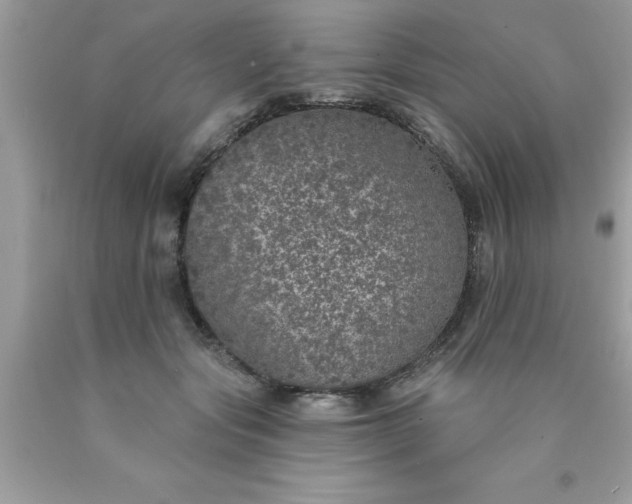 X0000090460557200707272239