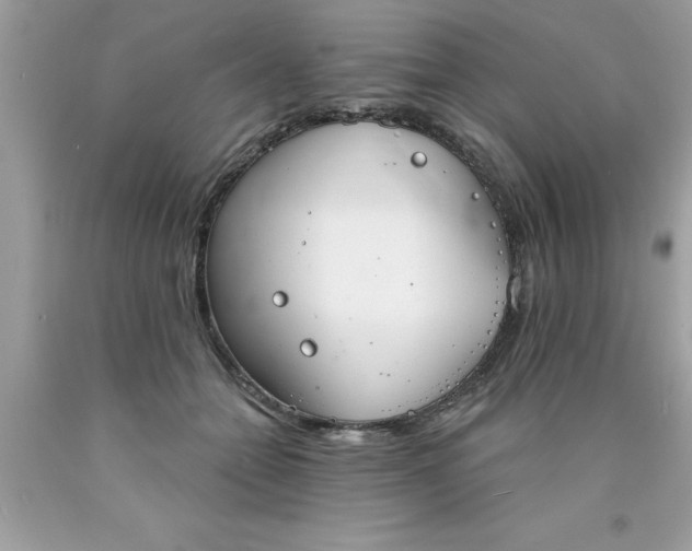 X0000090460558200707272239