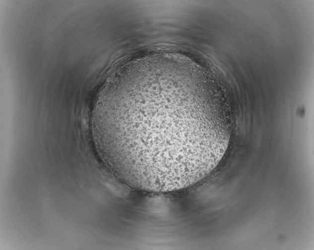 X0000090460561200707272239