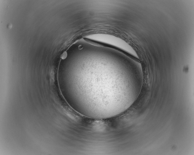 X0000090460562200707272239
