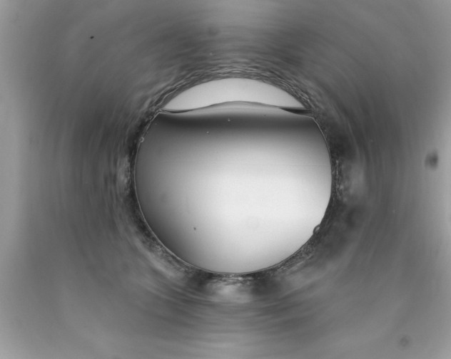 X0000090460563200707272239