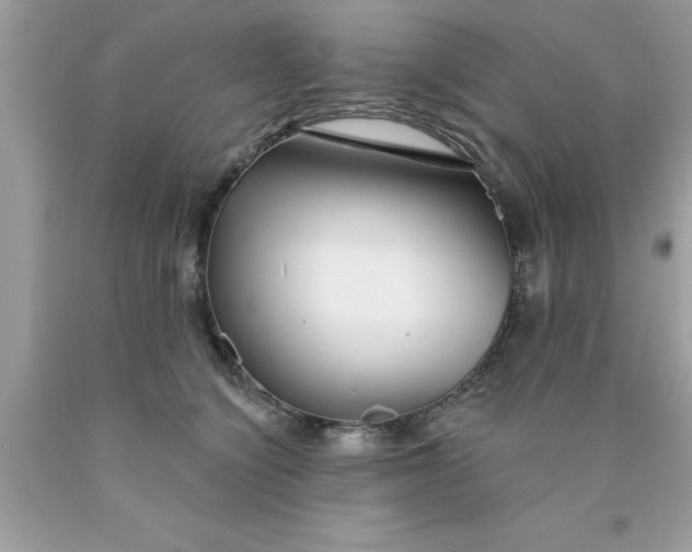 X0000090460564200707272239