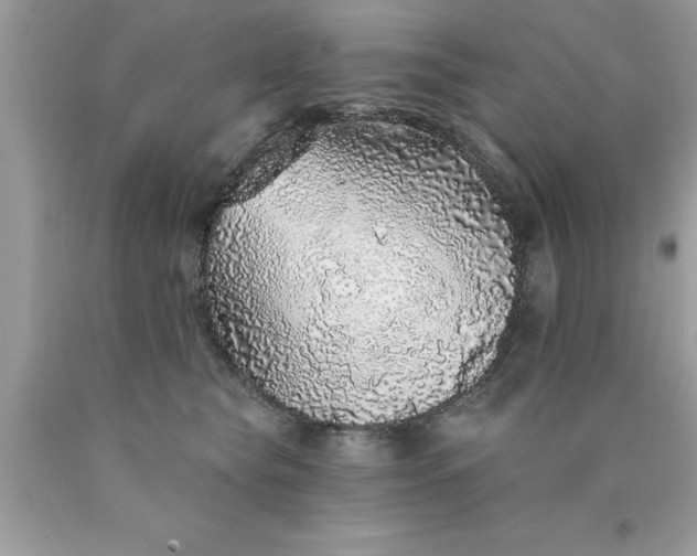 X0000090460565200707272239