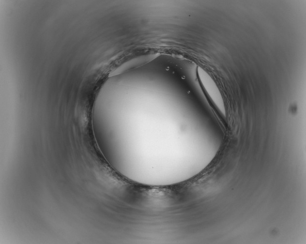 X0000090460566200707272239
