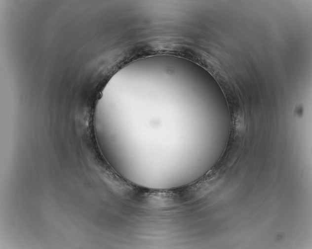 X0000090460567200707272239