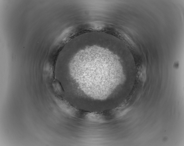 X0000090460568200707272239