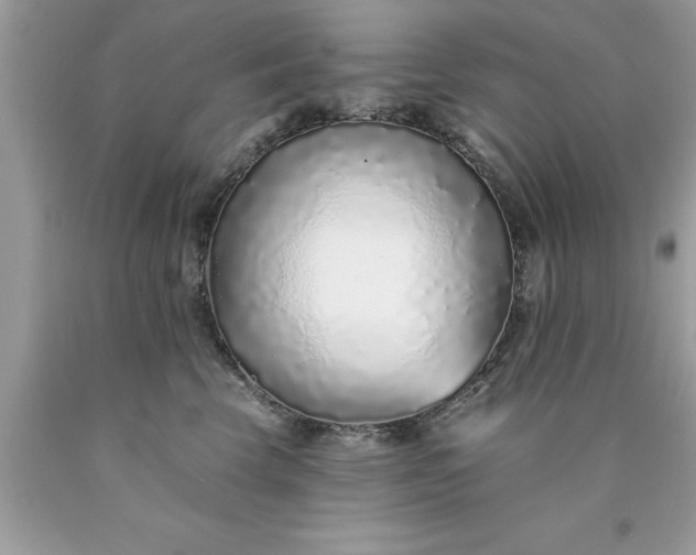 X0000090460569200707272239