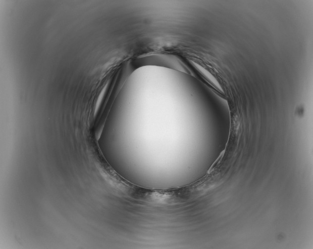 X0000090460570200707272239