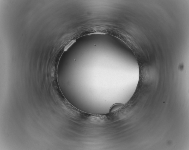 X0000090460571200707272240