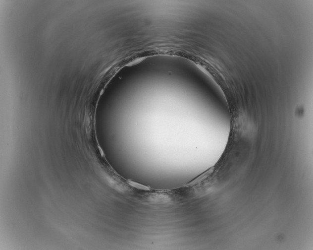 X0000090460572200707272240