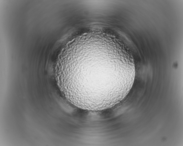 X0000090460573200707272240