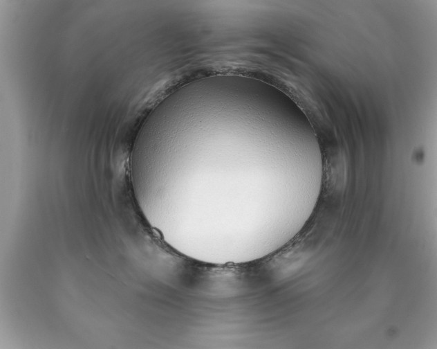 X0000090460574200707272240