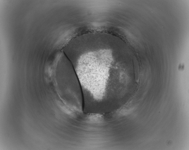 X0000090460576200707272240