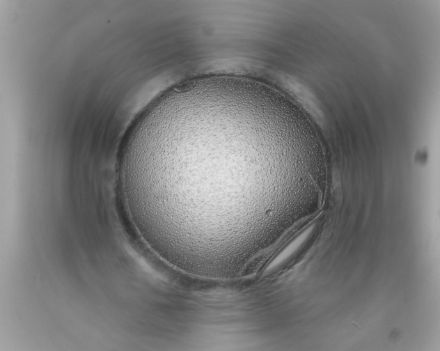 X0000090460578200707272239