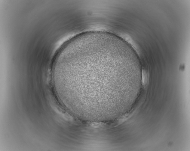 X0000090460579200707272239