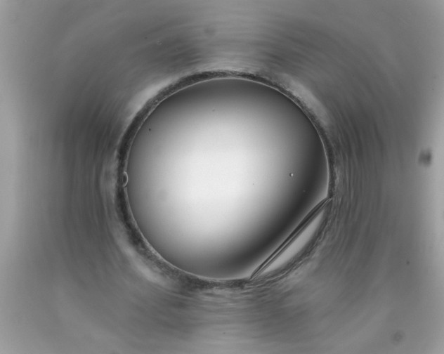 X0000090460580200707272239