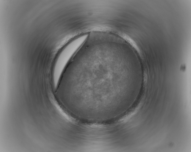 X0000090460581200707272239
