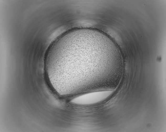 X0000090460582200707272239