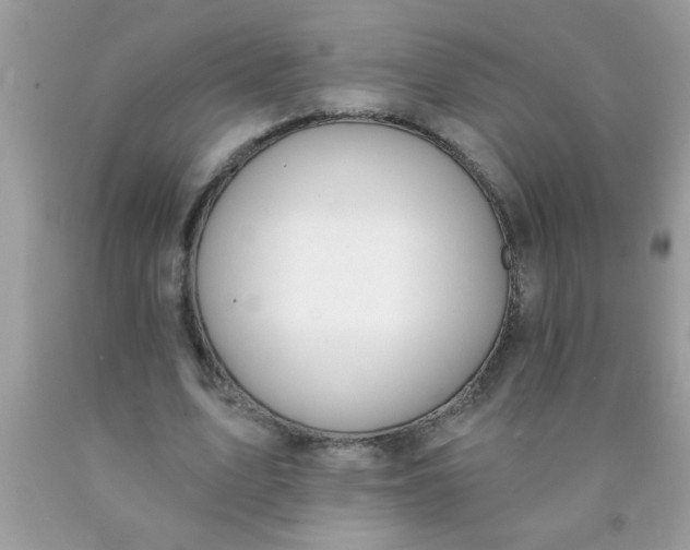 X0000090460583200707272239