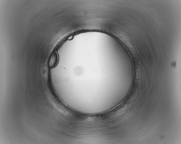 X0000090460584200707272239