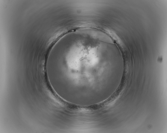 X0000090460585200707272239