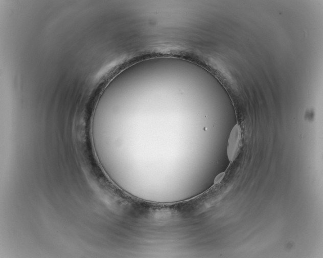 X0000090460587200707272238