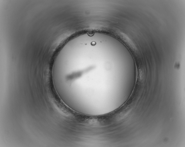 X0000090460588200707272238