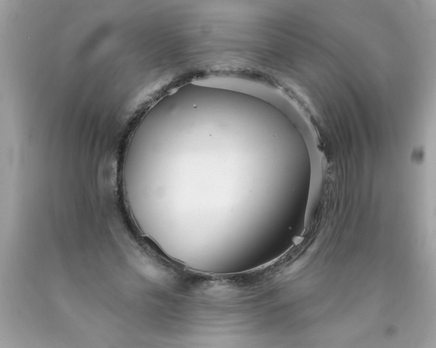 X0000090460589200707272238
