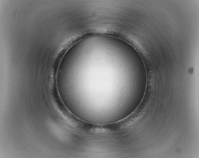 X0000090460590200707272238