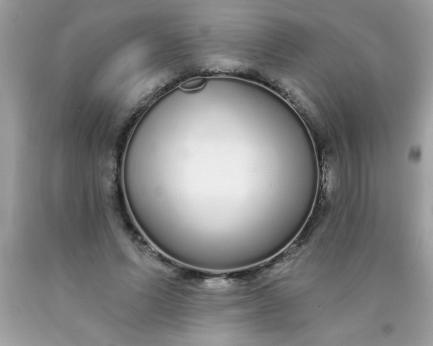 X0000090460591200707272238